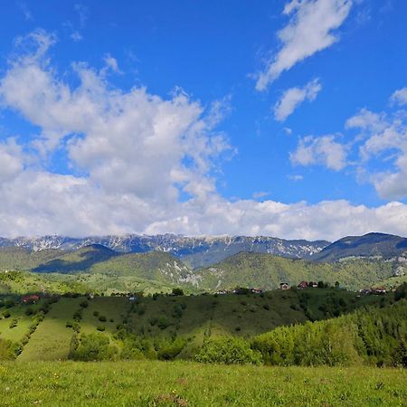 Alpine Escape Studios Măgura Екстериор снимка