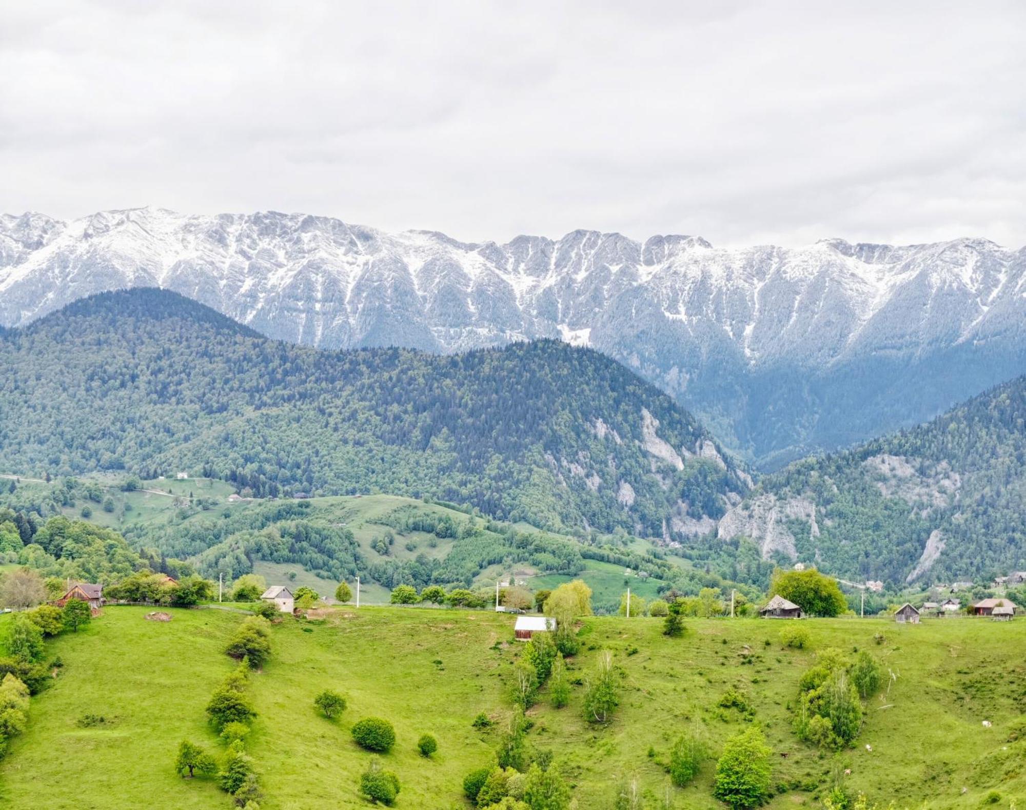 Alpine Escape Studios Măgura Екстериор снимка