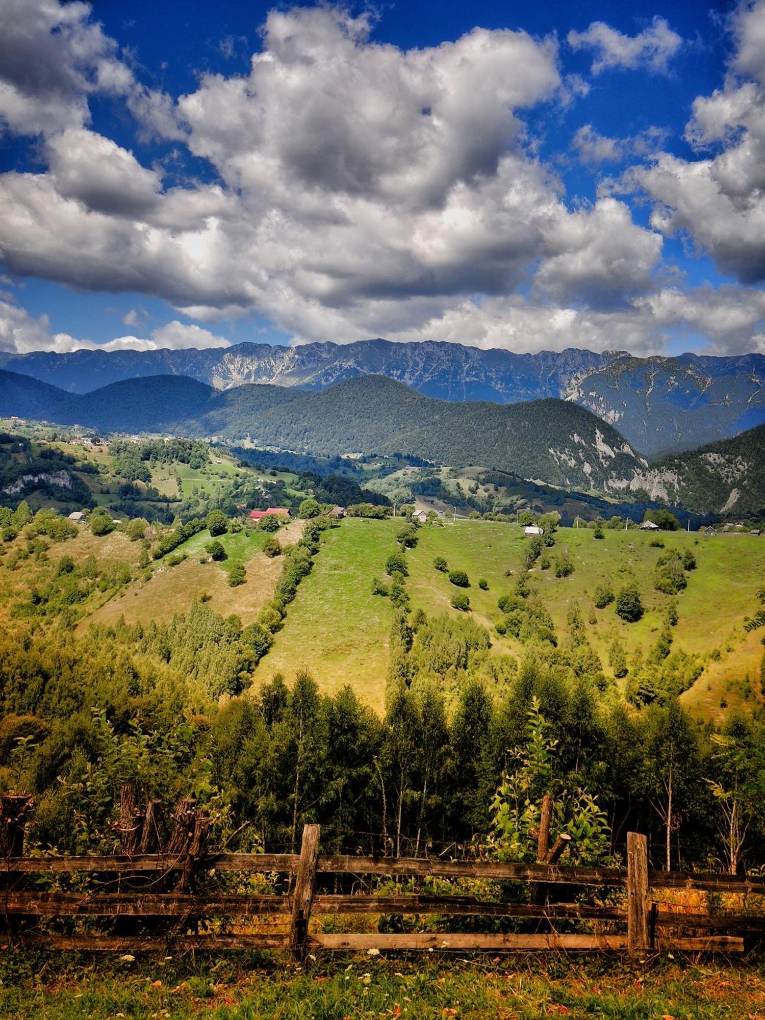 Alpine Escape Studios Măgura Екстериор снимка