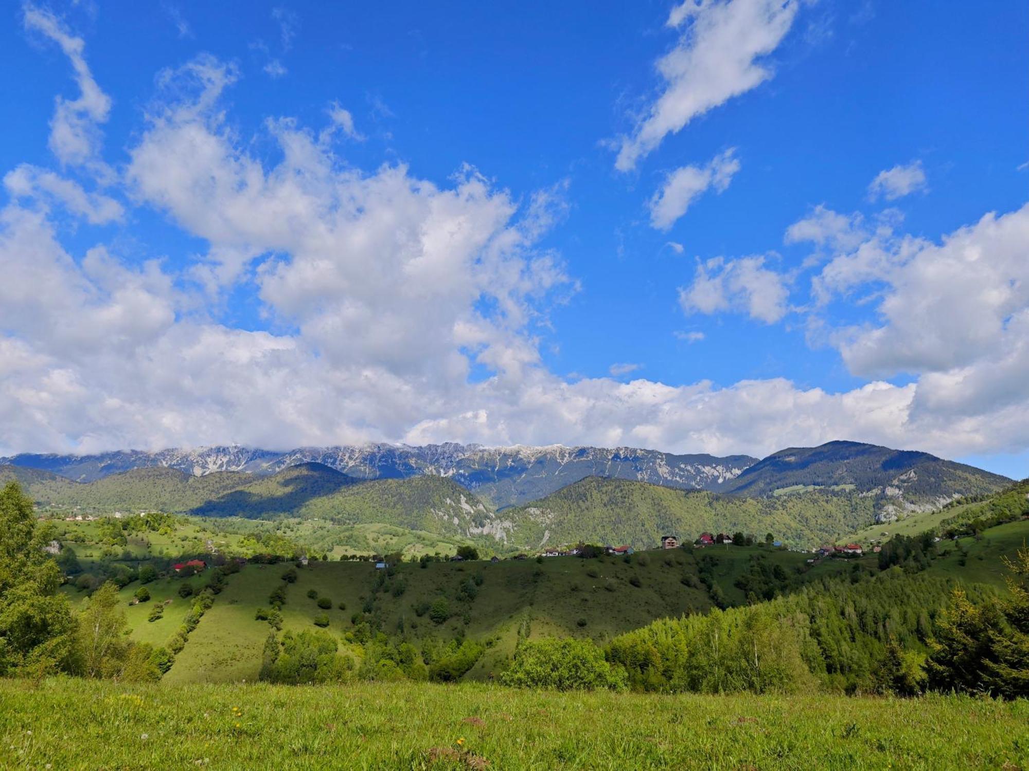 Alpine Escape Studios Măgura Екстериор снимка